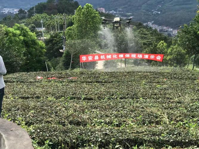 茶葉機(jī)械化植保 華安縣2021年特色產(chǎn)業(yè)演示會助力茶產(chǎn)業(yè)升級